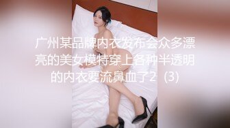 广州某品牌内衣发布会众多漂亮的美女模特穿上各种半透明的内衣要流鼻血了2  (3)