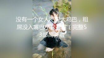 没有一个女人不爱大鸡巴，粗屌没入嘴巴小穴打桩（完整53部简芥看