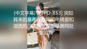 (中文字幕) [PPPD-853] 突如其来的暴雨在故障的电梯里和湿透的巨乳痴女深田咏美同处一室的我