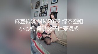 麻豆传媒 MMZ022 绿茶空姐小心机 劈腿父子性爱诱惑