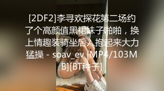 [2DF2]李寻欢探花第二场约了个高颜值黑裙妹子啪啪，换上情趣装骑坐后入抱起来大力猛操 - soav_ev [MP4/103MB][BT种子]