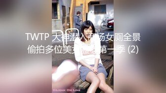 TWTP 大神潜入商场女厕全景偷拍多位美女嘘嘘第一季 (2)