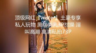 顶级网红『wister』土豪专享私人玩物 黑丝美乳3P怼操 淫叫高潮 高清私拍73P