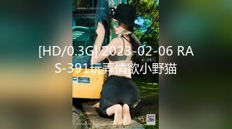 [HD/0.3G] 2023-02-06 RAS-391玩弄情欲小野猫