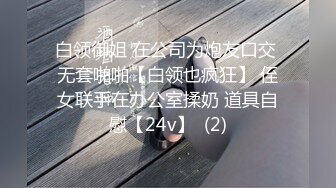 白领御姐 在公司为炮友口交 无套啪啪【白领也疯狂】 侄女联手在办公室揉奶 道具自慰【24v】  (2)