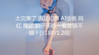 太完美了 满足幻想 AI绘画 网红 腐团 奶子手感一看就很不错！[318P/1.2G]