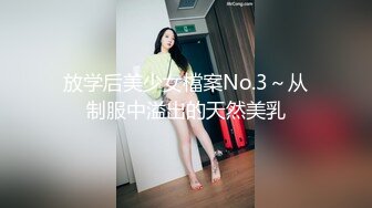 放学后美少女檔案No.3～从制服中溢出的天然美乳