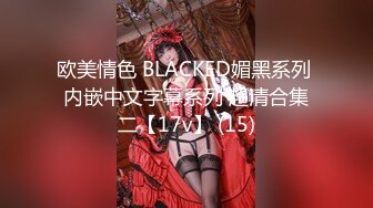 欧美情色 BLACKED媚黑系列 内嵌中文字幕系列 超清合集二【17v】 (15)