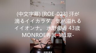 (中文字幕) [ROE-023] 汗が滴るイイカラダ、気品溢れるイイオンナ。 水野優香 43歳 MONROE専属-第1章-