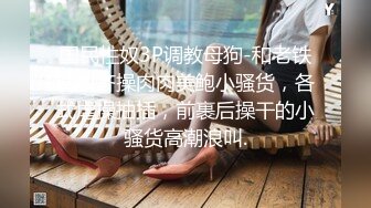 国民性奴3P调教母狗-和老铁调教齐操肉肉美鲍小骚货，各式虐操抽插，前裹后操干的小骚货高潮浪叫.