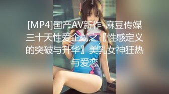 [MP4]国产AV新作-麻豆传媒三十天性爱企划之〖性感定义的突破与升华〗美乳女神狂热与爱恋