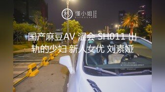 国产麻豆AV 涩会 SH011 出轨的少妇 新人女优 刘素娅